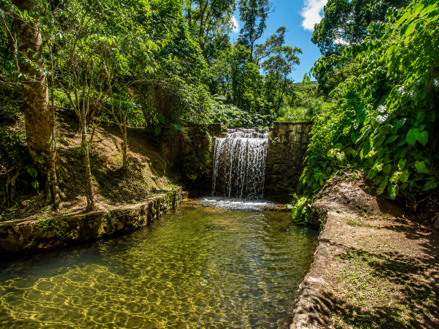 Jardim com cachoeira