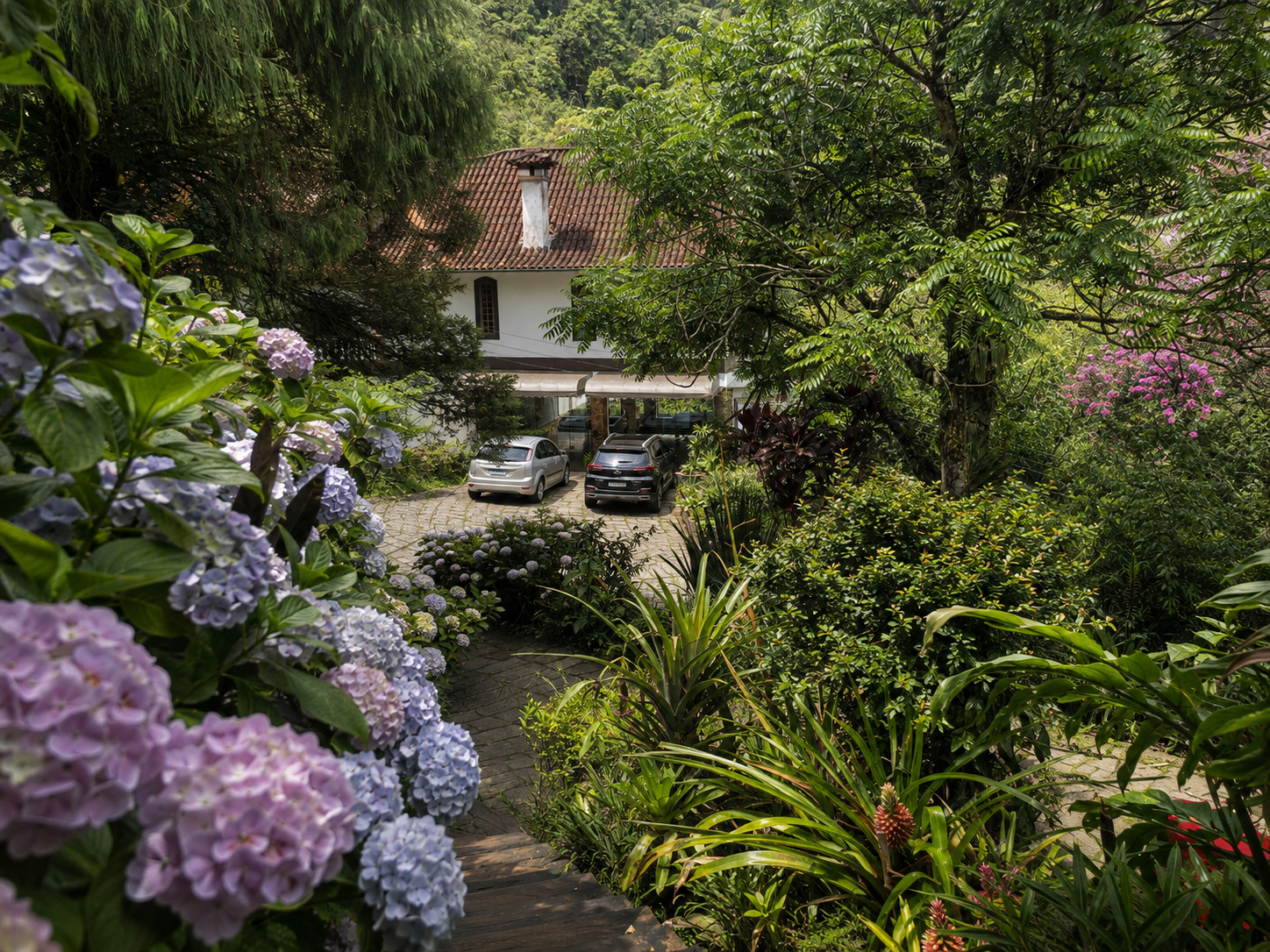 Casa com hortênsias
