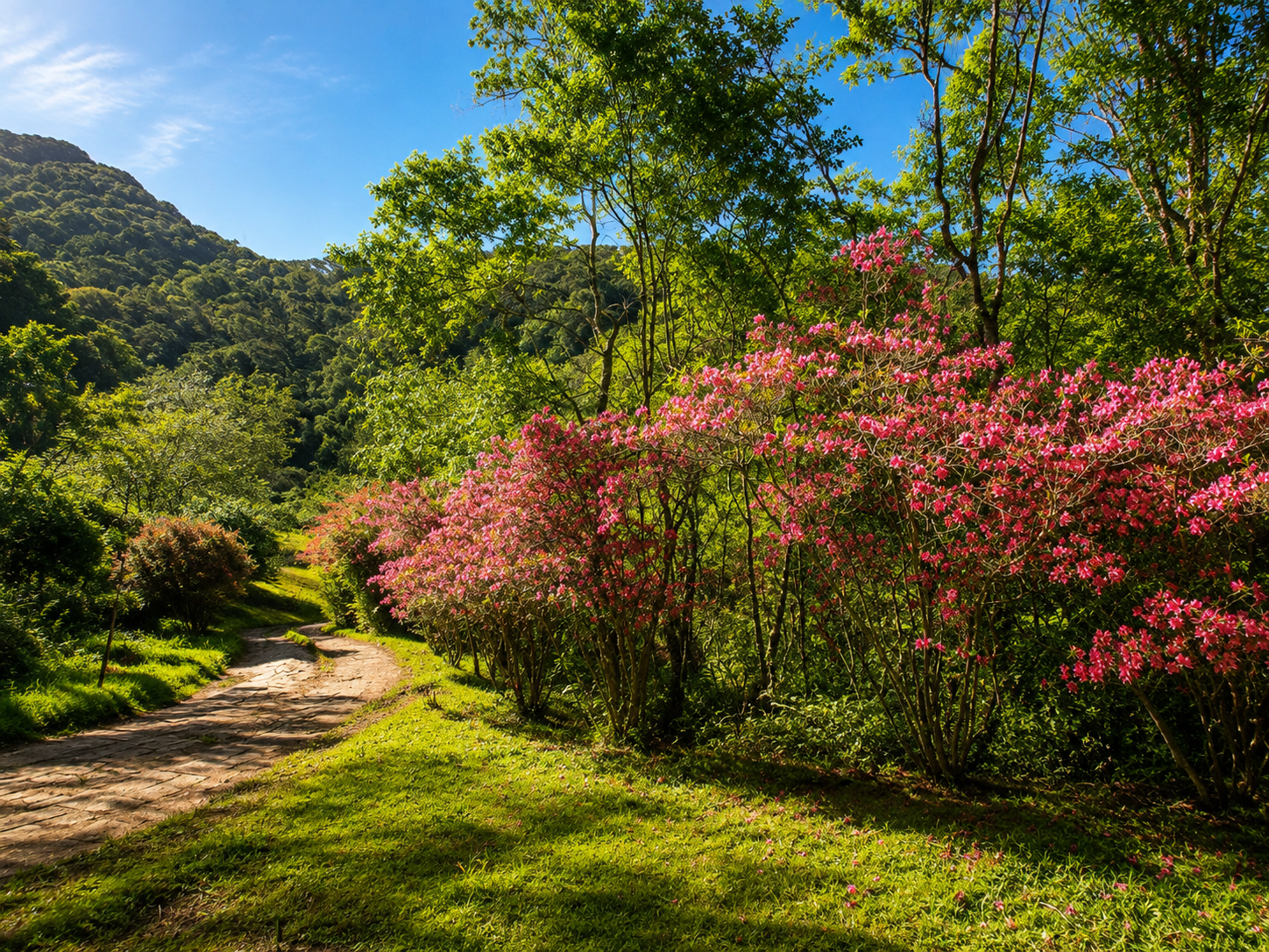 Jardins do sítio