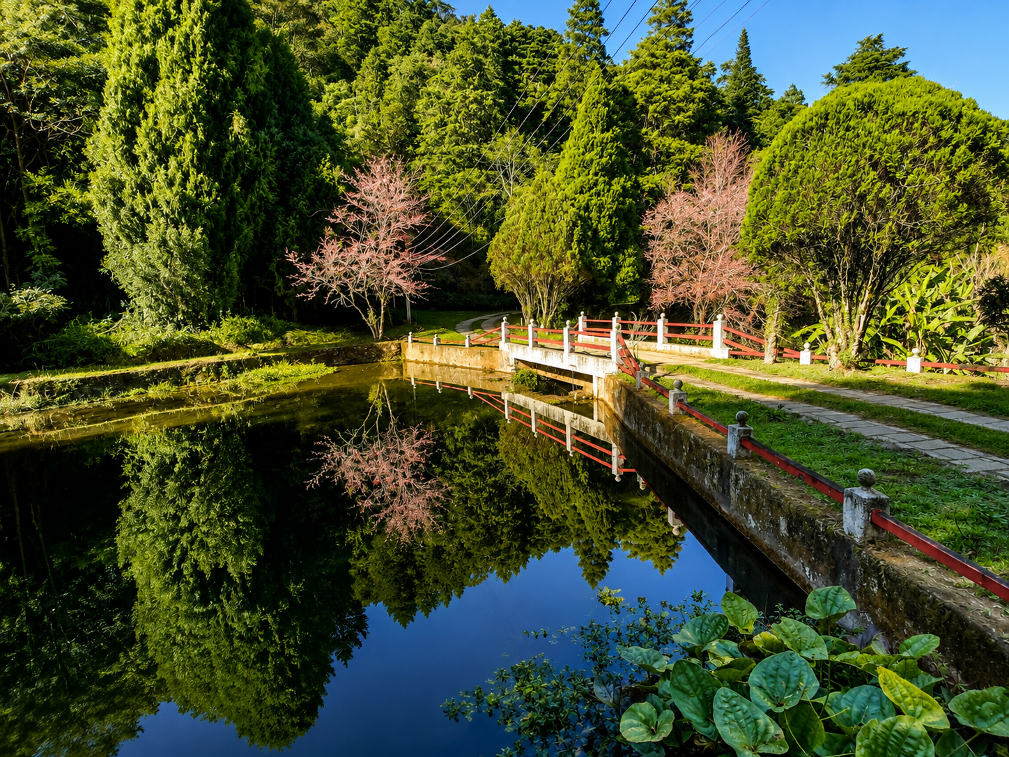 Lago com ponte